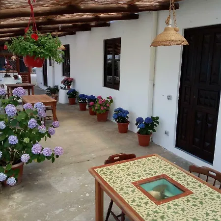 Angel Apartment Malfa (Salina)