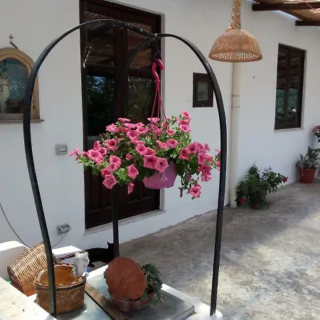 Angel Apartment